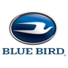 Blue Bird